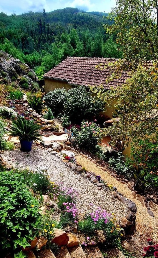 Quinta Do Cabril * Serpins