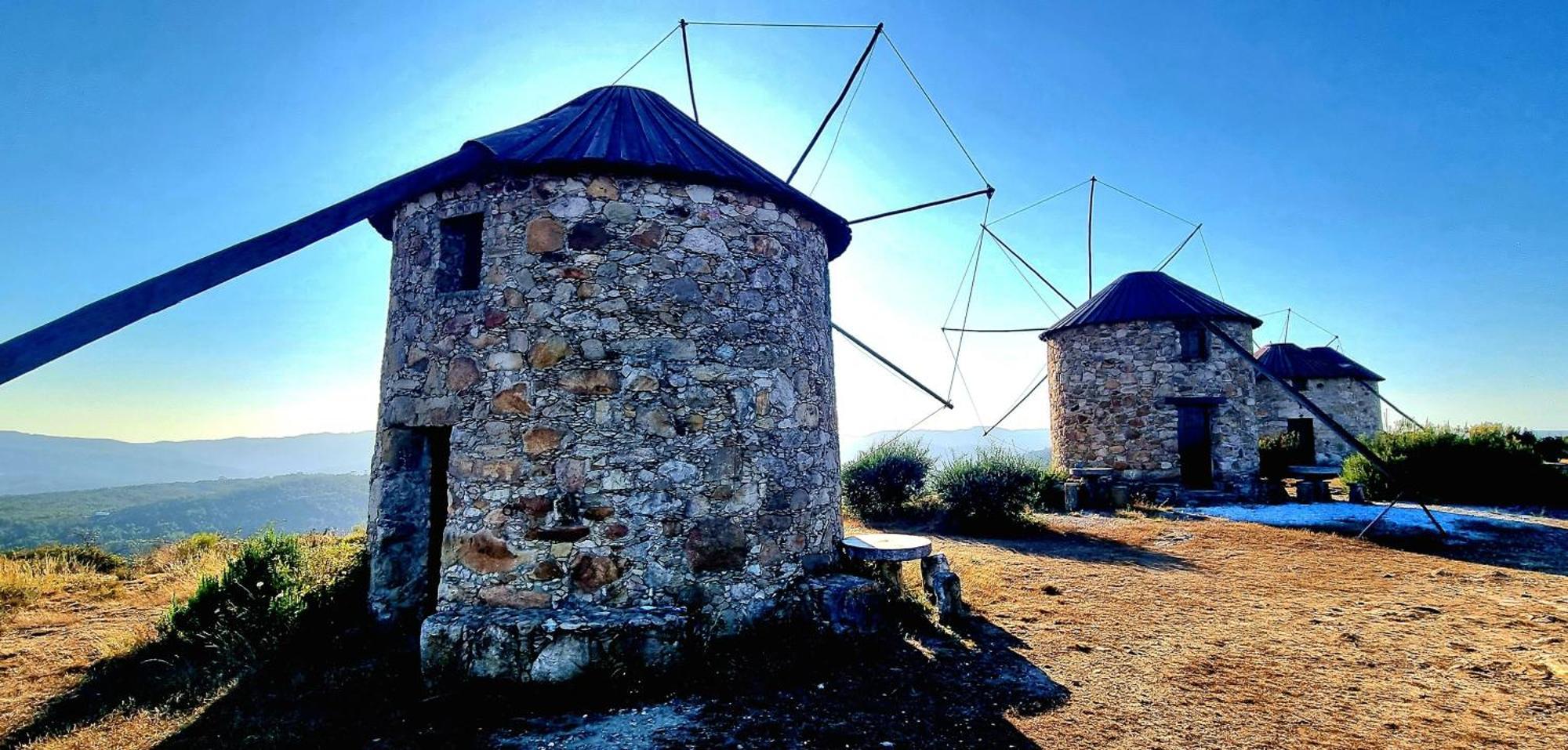 Quinta Do Cabril * Serpins